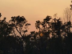 -盐城丹顶鹤湿地生态旅游区