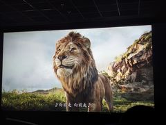 -CMC大光明影城(莲花店)