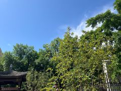 -元大都城垣遗址公园