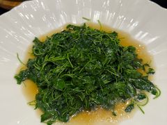 -新雅粤菜馆(南京东路店)