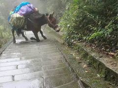 -峨眉山风景名胜区