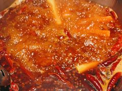 -蜀九香火锅(九眼桥店)