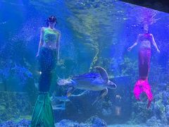 -嘉兴海底世界