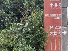 -梧桐山风景名胜区