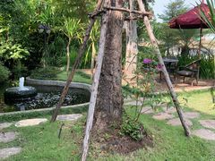 -DOI CHAANG Caffè Maesuai