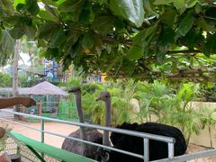 -三亚亚龙湾天域度假酒店