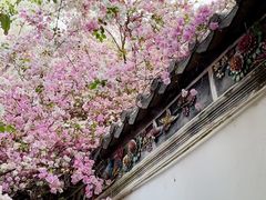 -深圳国际园林花卉博览园