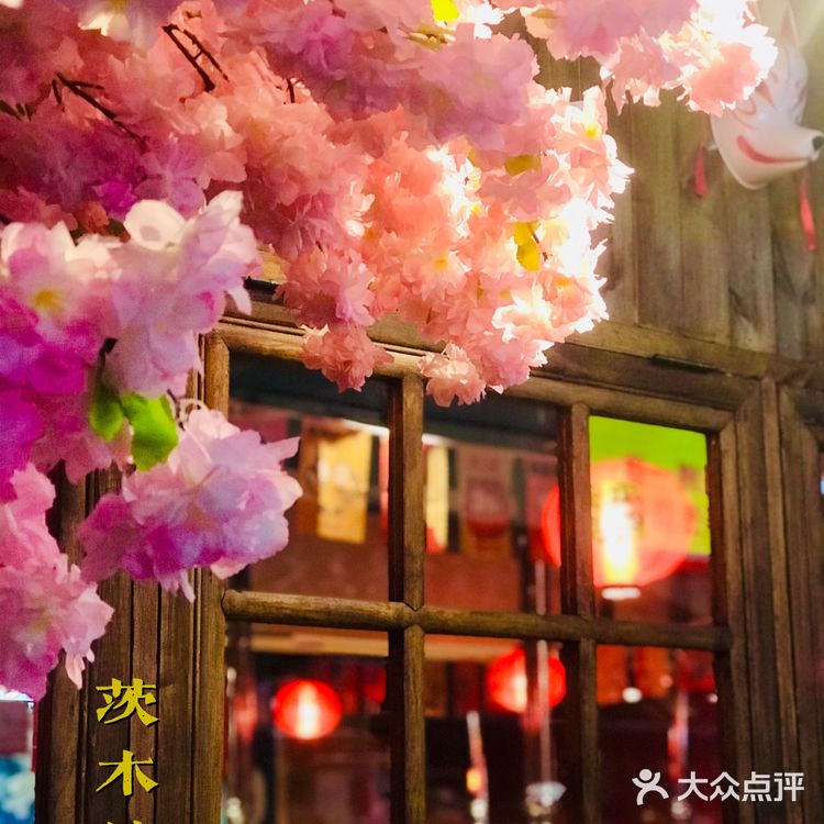 满树烂漫樱花下，炭火烤肉茨木烧