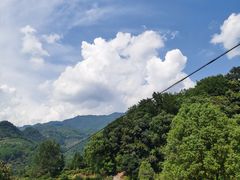-杨家堂村