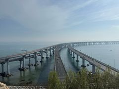 -星海湾跨海大桥