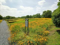 -梁鸿国家湿地公园