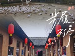 -白鹿原影视城