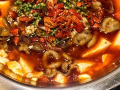 -火胖子肥肠煲·始于1998(南山村店)