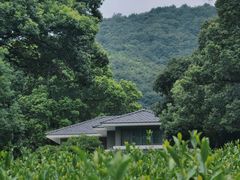-西湖风景区十里琅珰-五云山