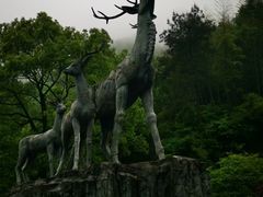 -长沙黑麋峰国家森林公园