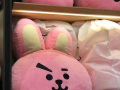 -line friends(明洞旗舰店)