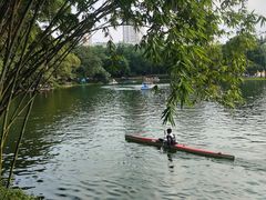 -晓港公园