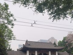 -团结湖公园