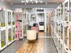 -青奢宠物·青奢猫舍