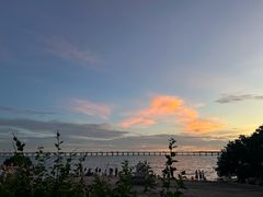 -宝安西湾红树林湿地公园