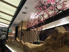 -老板恋上鱼(荣盛广场店)