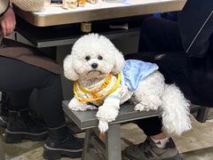 -朱氏胖子烂火锅(洪崖洞店)