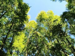 -山王坪喀斯特国家生态公园