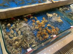 水产区-阿杜打边炉(五江天街店)