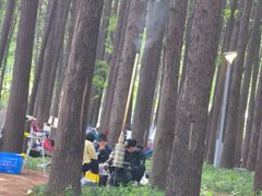 -汉水公园
