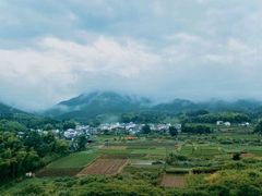 -杨家寨