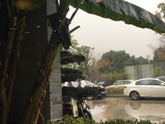 -吴越荣记·苏州菜·松鼠桂鱼(斜塘老街店)