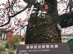-黄埔古港