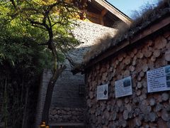 -田德能咖啡博物馆