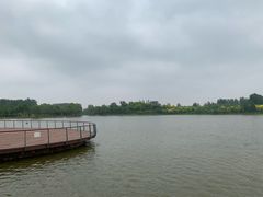 -东郊湿地公园