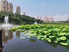 -前关湿地公园