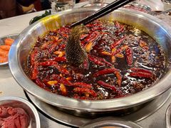 鲜毛肚-电台巷火锅(科华总店)