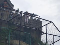 -胡里山炮台