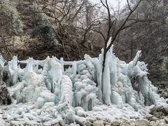 -陕西省红河谷森林公园