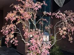 -椿杨樘·明康泡浴养生馆(重庆店)