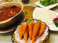 -丁老爷子苏香圆