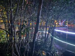 -星河温泉小镇