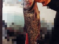 7.6斤胖头鱼-姥家大锅台水库渔家