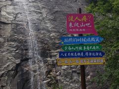-朱雀国家森林公园