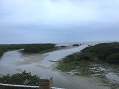 -北海金海湾红树林生态旅游区