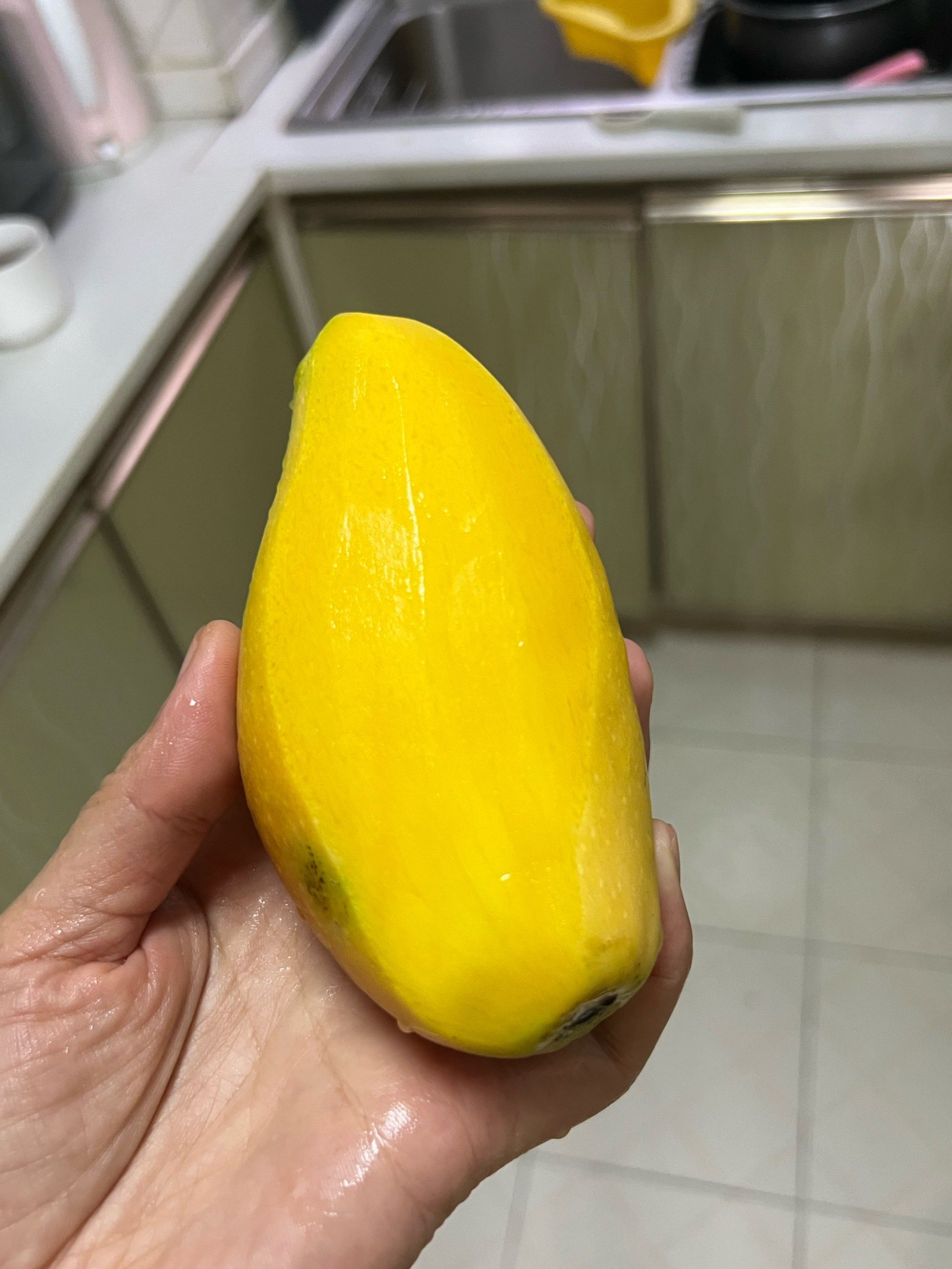 又到了吃芒果的季节,国产芒果之光海南贵妃芒