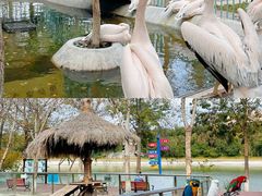 -水上乐园·欢乐世界