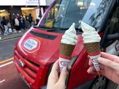 -富豪雪糕车流动点(尖沙咀店)