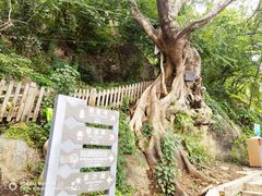 -抚仙湖禄充风景区