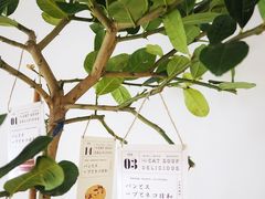 -Oasis coffee燕谷咖啡(公信店)