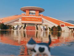 -中国闽台缘博物馆